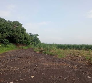 Finca en Venta Agricola o inmobiliaria Escuintla