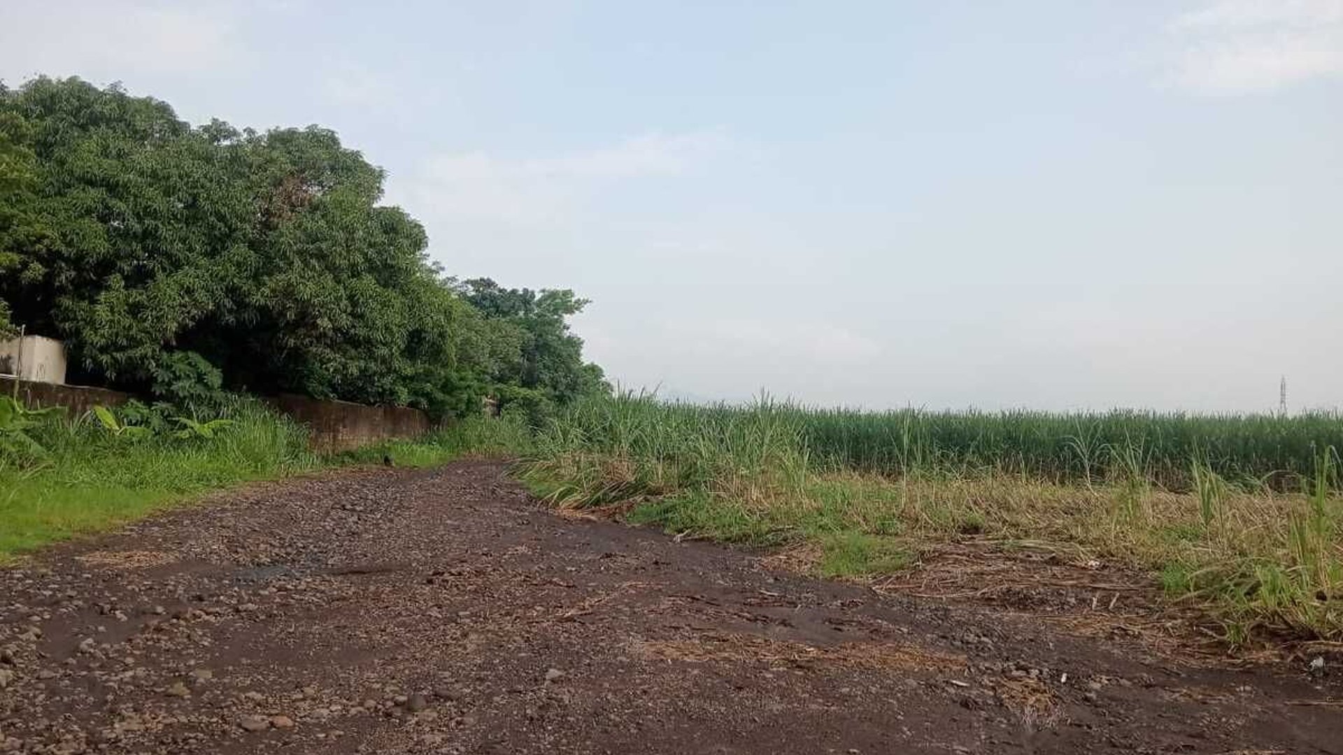 Finca en Venta Agricola o inmobiliaria Escuintla