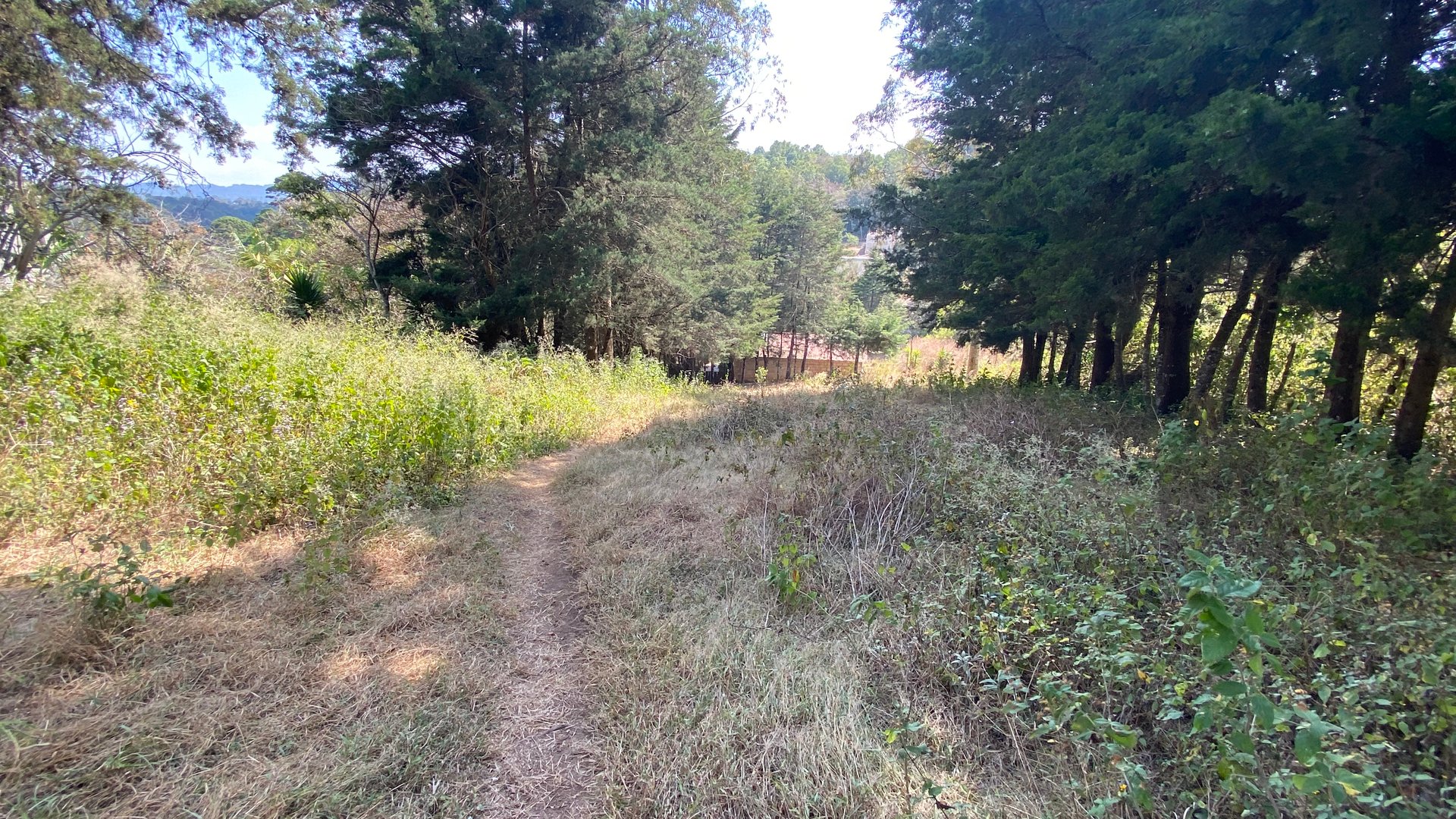 Amplio Terreno en Renta en Aldea Lo de Diéguez - Miniatura 4