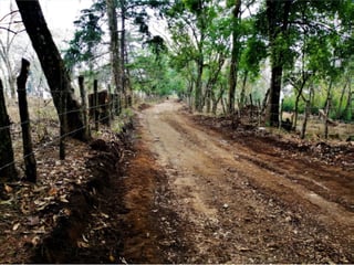 Terreno en Venta en Km 26.5 Carretera a El Salvador, 7.7 Manzanas  - 3