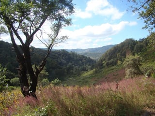Vendo terreno en Km. 6 a San Jose Pinula Palencia - 5