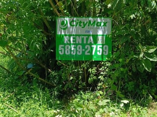 TERRENO EN ALQUILER EN CAES KM 19.5 - 3