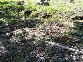 FINCA EN VENTA – SAN ANDRÉS, PETÉN - 4