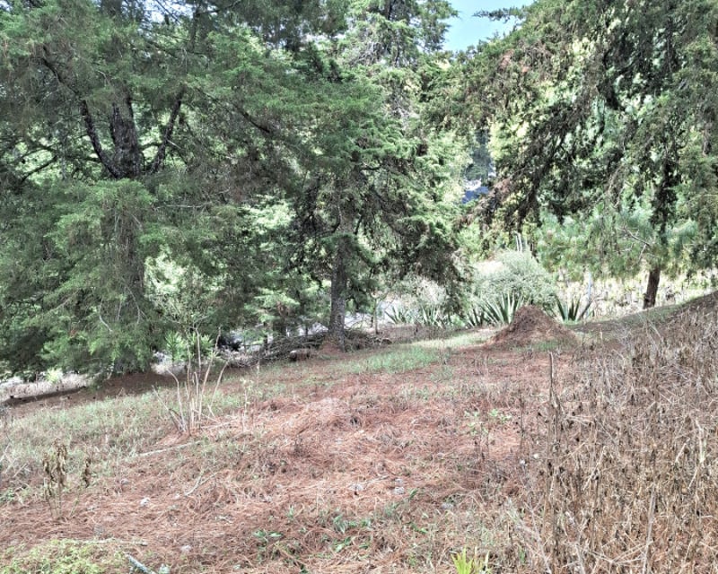 En Venta Terreno en Zona 16 Villa Ecuestre El Pulté