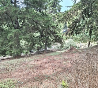 En Venta Terreno en Zona 16 Villa Ecuestre El Pulté