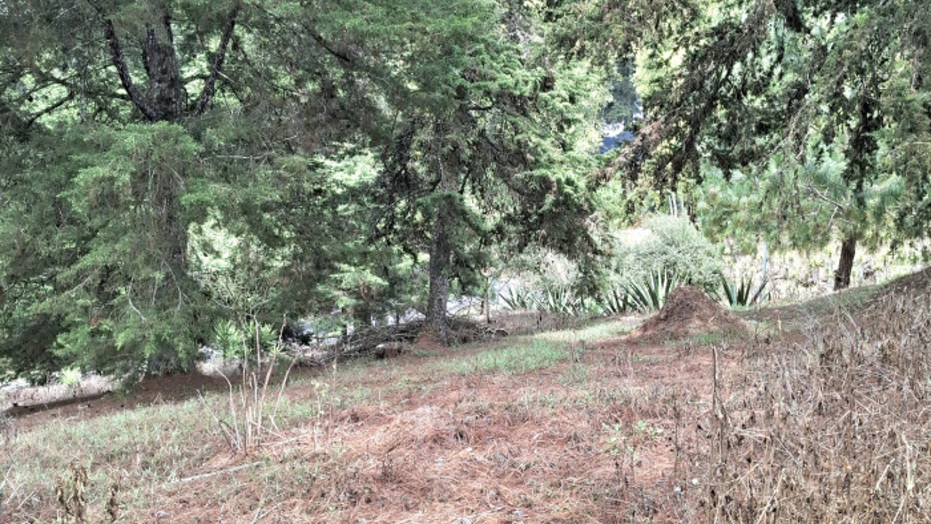 En Venta Terreno en Zona 16 Villa Ecuestre El Pulté