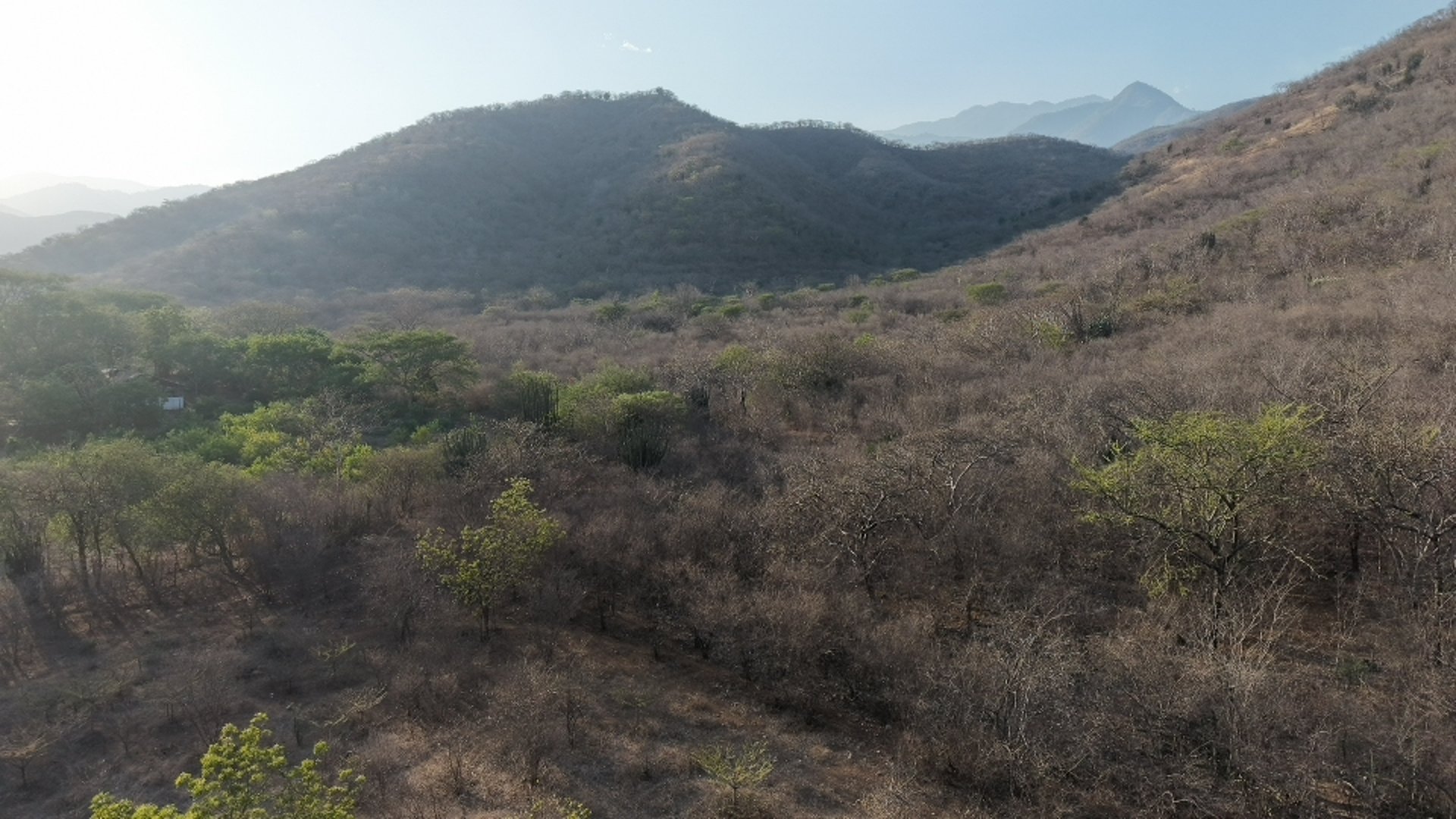 Magnífica Finca en Venta: Zacapa, Guatemala - Oportunidad Única - Miniatura 7