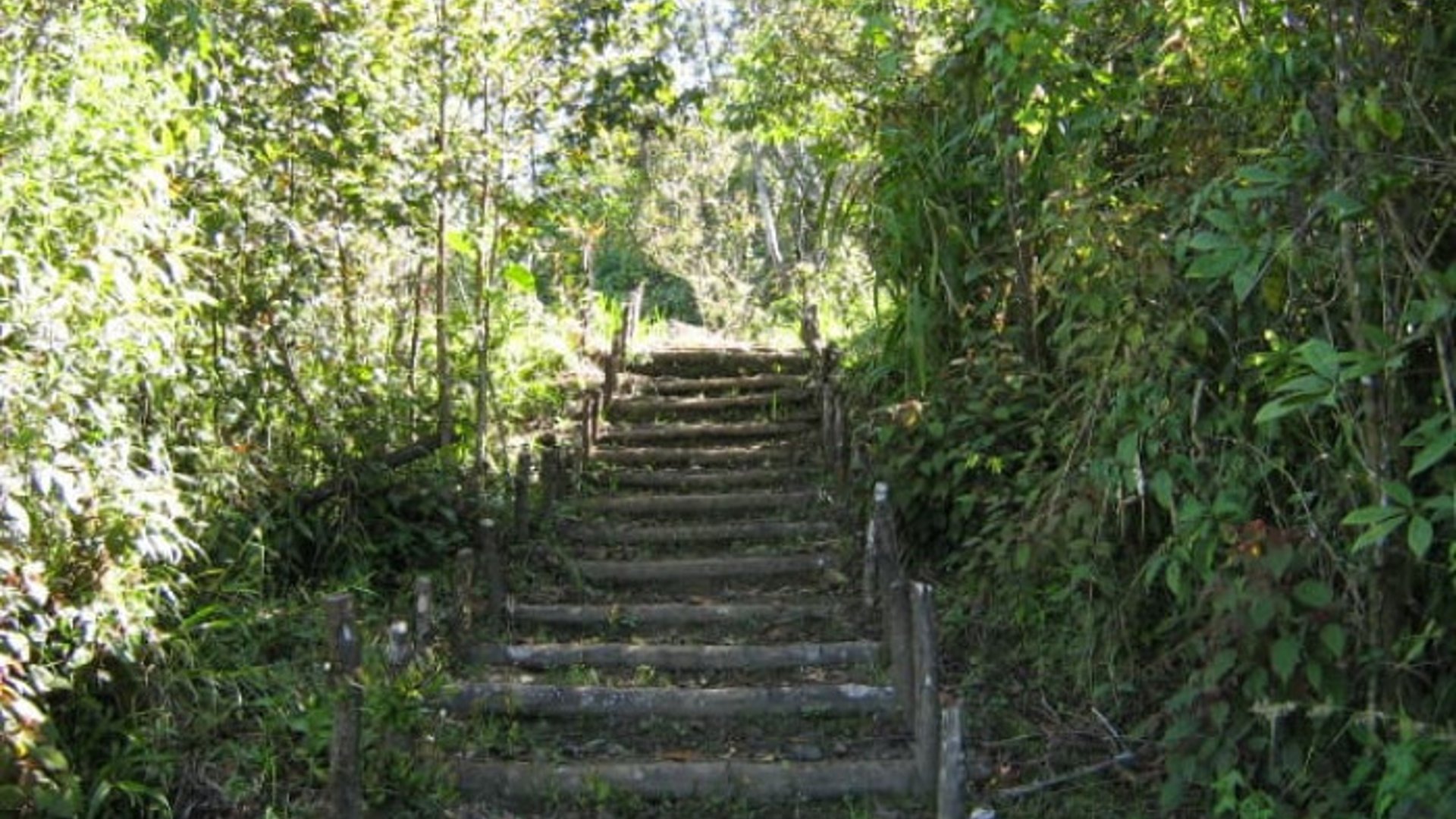 En Venta Finca San Juan Chamelco, Coban - Miniatura 3