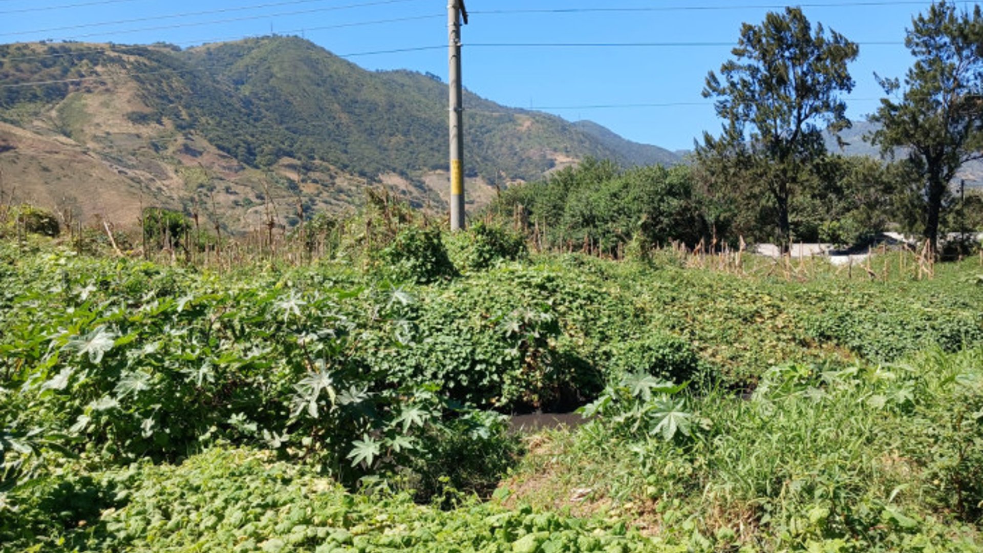 Terreno en Venta en Amatitlán - Miniatura 6