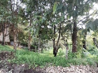 Lote en venta, Sausalito Fraijanes Km. 19.8 - 4