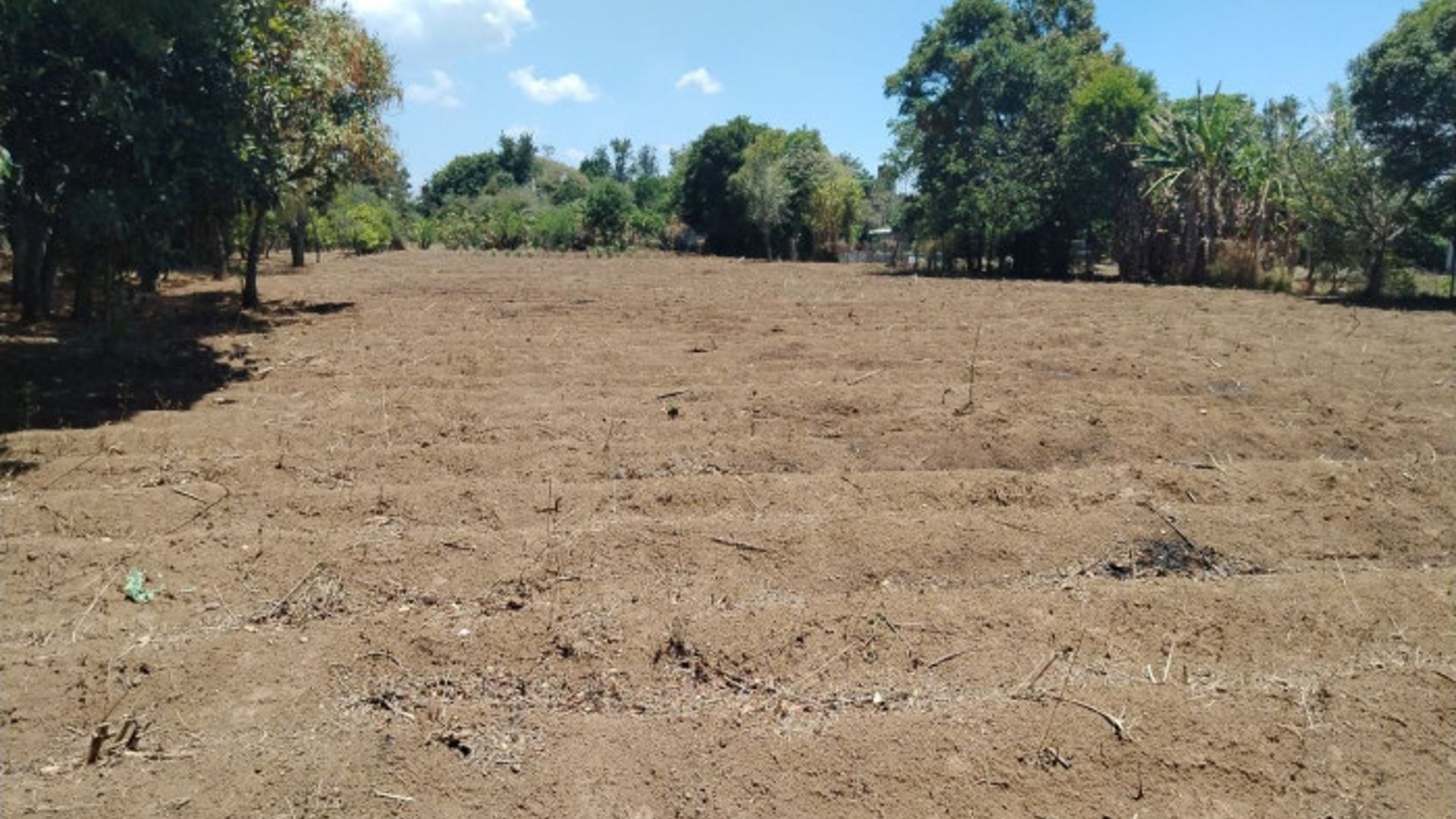 TERRENO EN VENTA EN CHIMALTENANGO - Miniatura 5