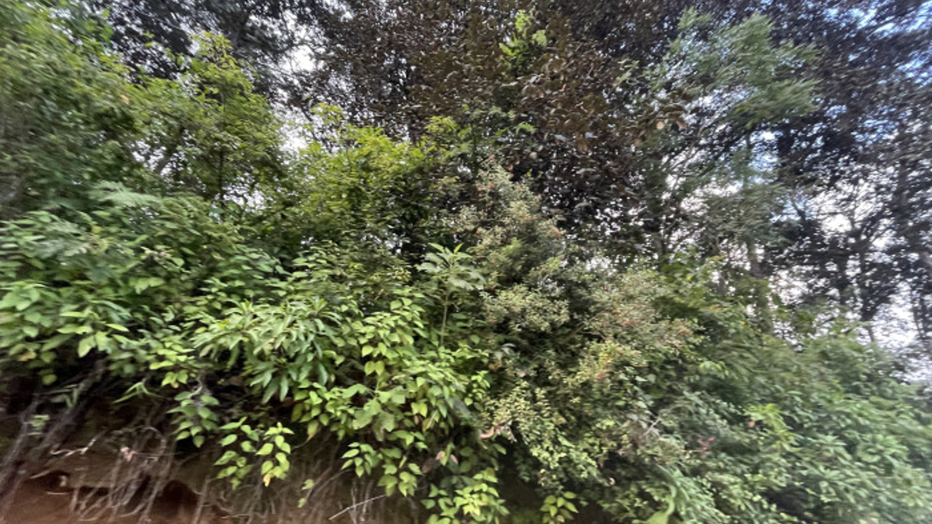 Terreno en venta en Aldea Chichorin San Lucas - Miniatura 10