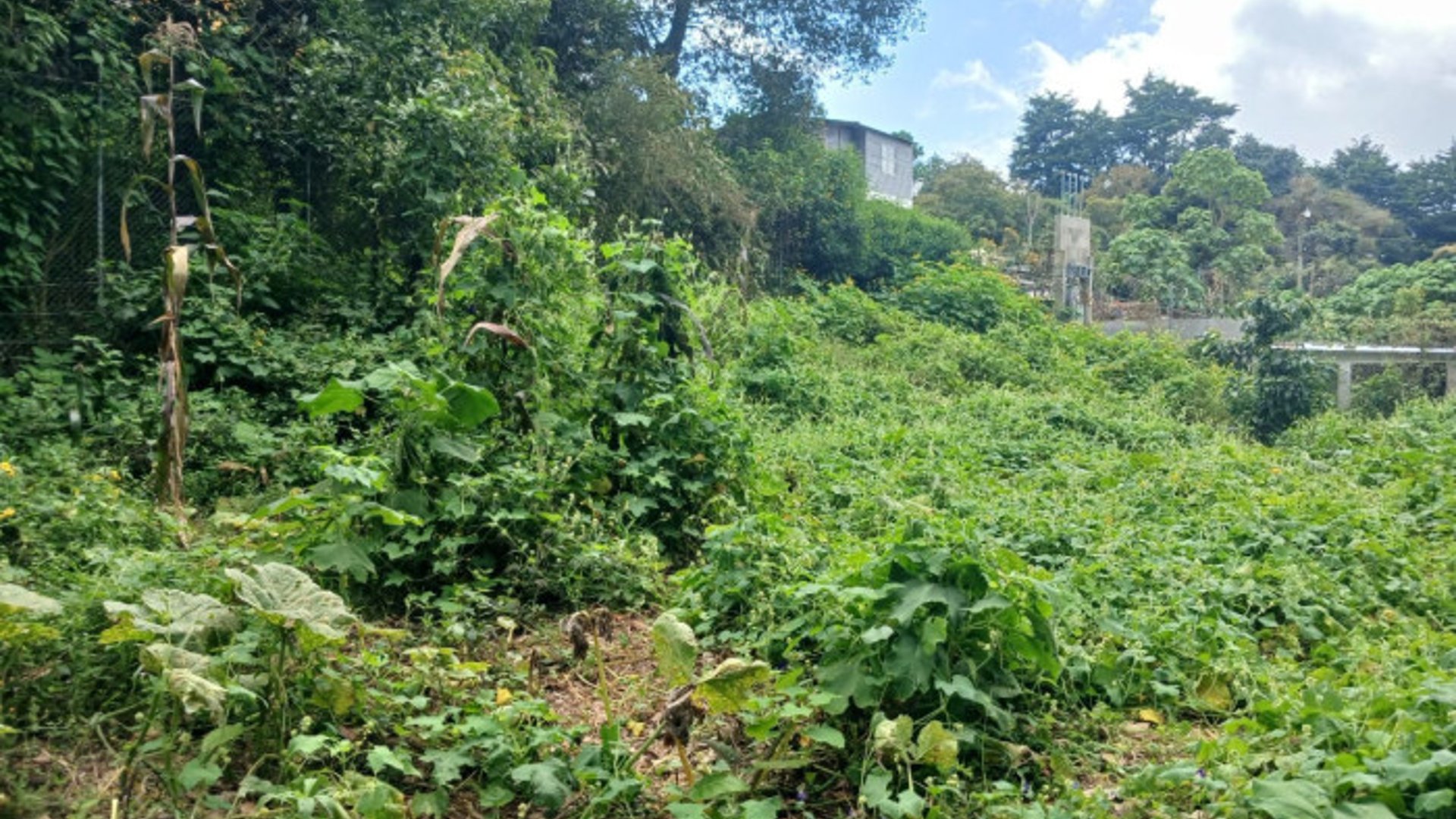TERRENO EN VENTA EN SAN LUCAS SACATEPEQUEZ - Miniatura 2