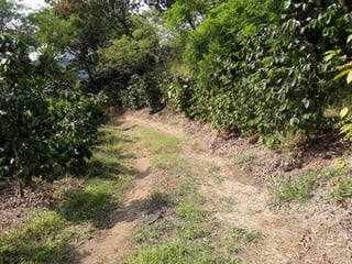 Se vende Finca en Acatenango Chimaltenango - 4