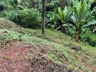 Terreno en VENTA en Muxbal, CES - 4