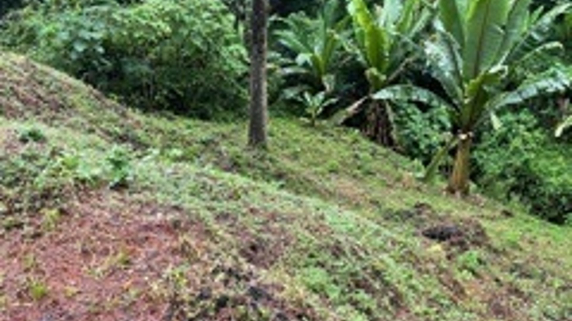 Terreno en VENTA en Muxbal, CES - Miniatura 4