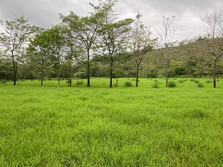 FINCA EN SANTA ROSA - 3