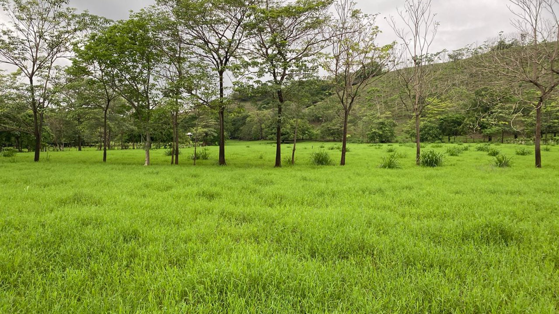 FINCA EN SANTA ROSA - Miniatura 3