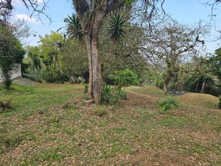 Terreno en venta en Club de Golf San Isidro, Zona 16 - 4