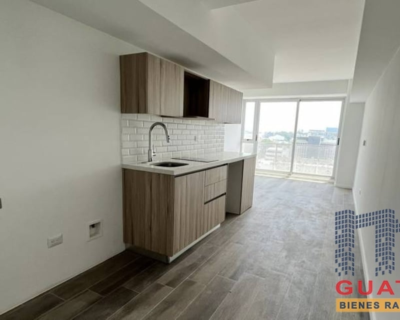 Apartamento en Renta, Zona 13 (R9111)