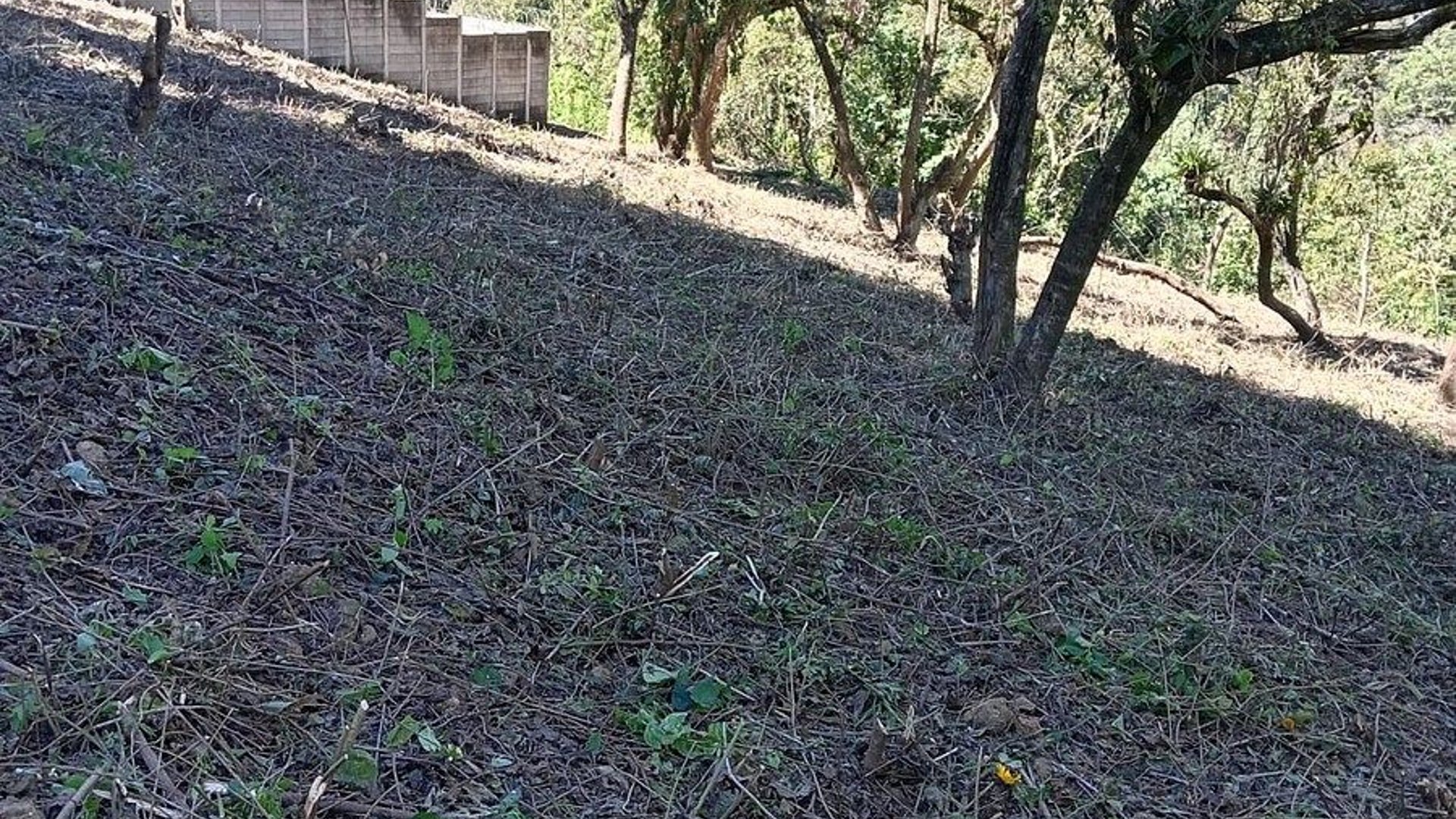 Terreno en VENTA en San Vicente - Miniatura 2