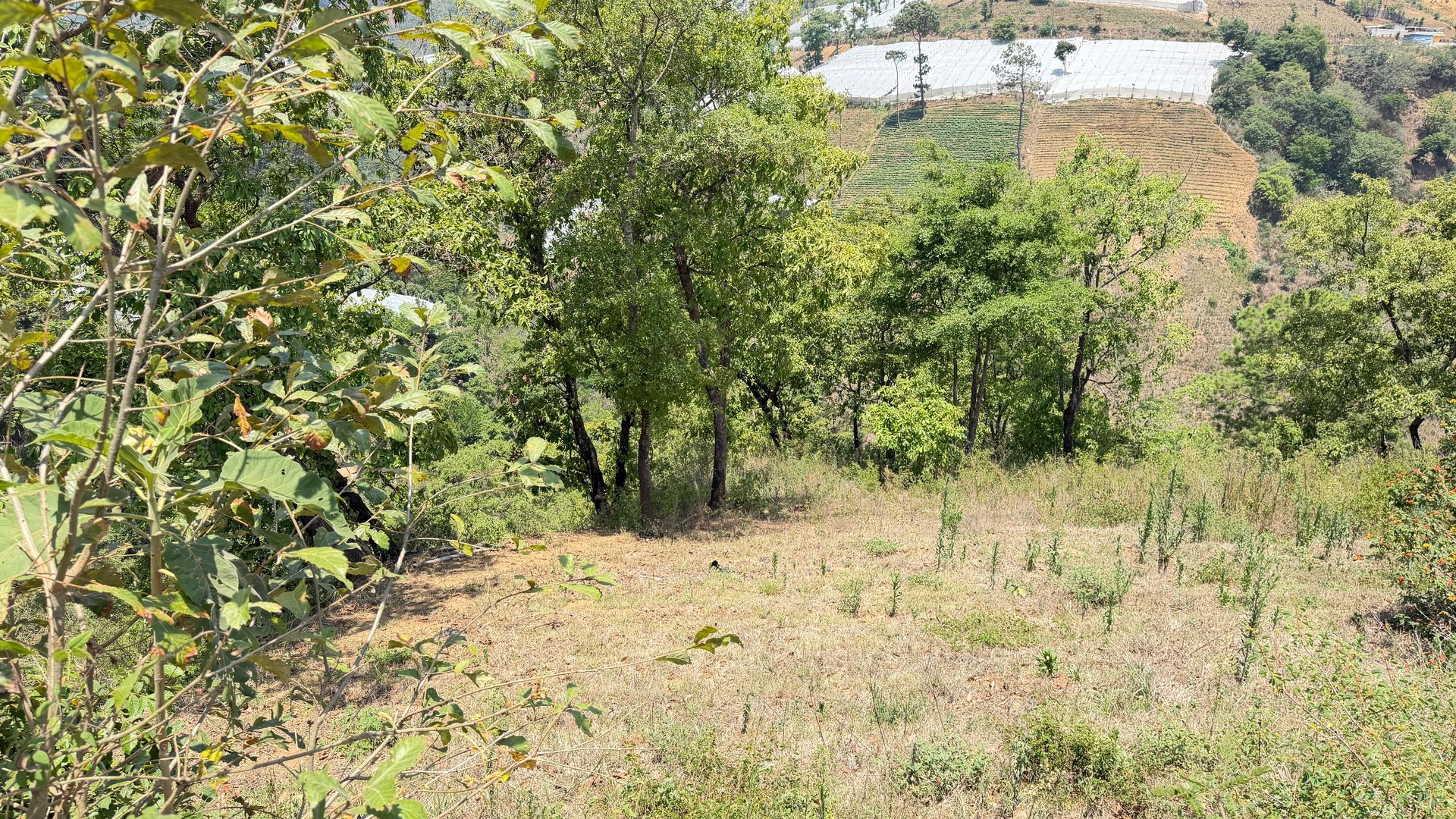 Terreno en Venta Sumpango, Sacatepéquez: 3.7 Hectáreas para su Proyecto - Miniatura 8