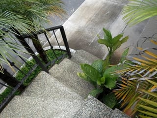 Casa en Venta  en Bosques de San Marino - Image 13