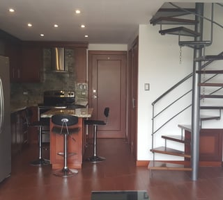 Alquiler de Apartamento tipo Loft en Zona 16