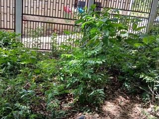 Terreno en venta en Ciudad San Cristobal - Image 2