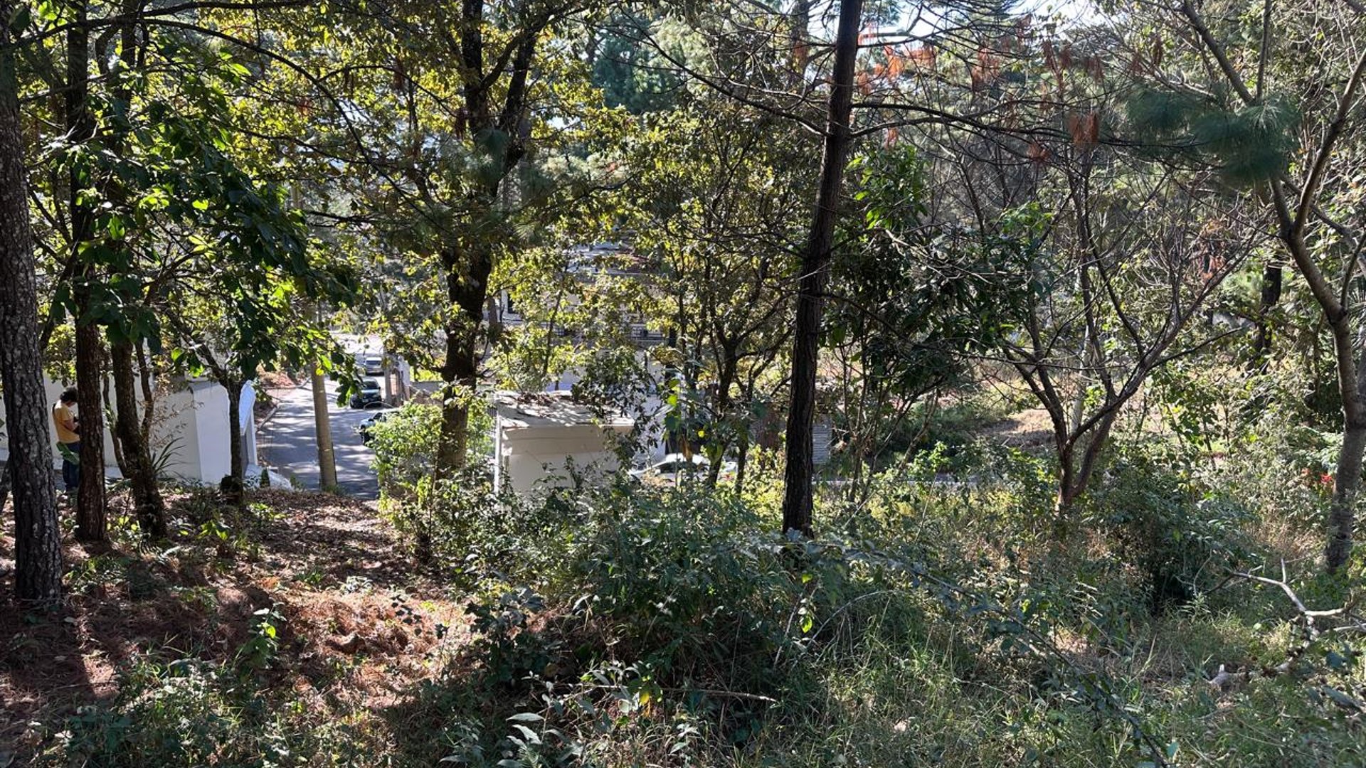 TERRENO EN RESIDENCIALES BOSQUES DE VISTALAGO SANTA CATARINA PINULA  - Miniatura 3