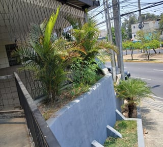 Bonito y Amplio Local comercial Atanasio Tzul z. 12