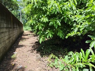 Terreno en Venta Cañadas de Torre Molinos Escuintla - 4