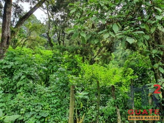 Terreno en Venta, Carretera a El Salvador (V9932) - 2