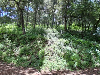 Terreno en venta en Troncos del Encinal z7 de Mixco Ref-4887 - Image 2