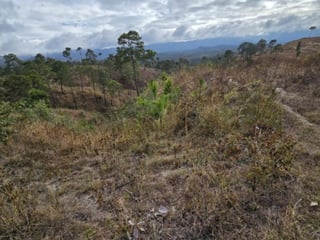 Terreno en Venta San Pedro Sacatepéquez, Guatemala - Image 6