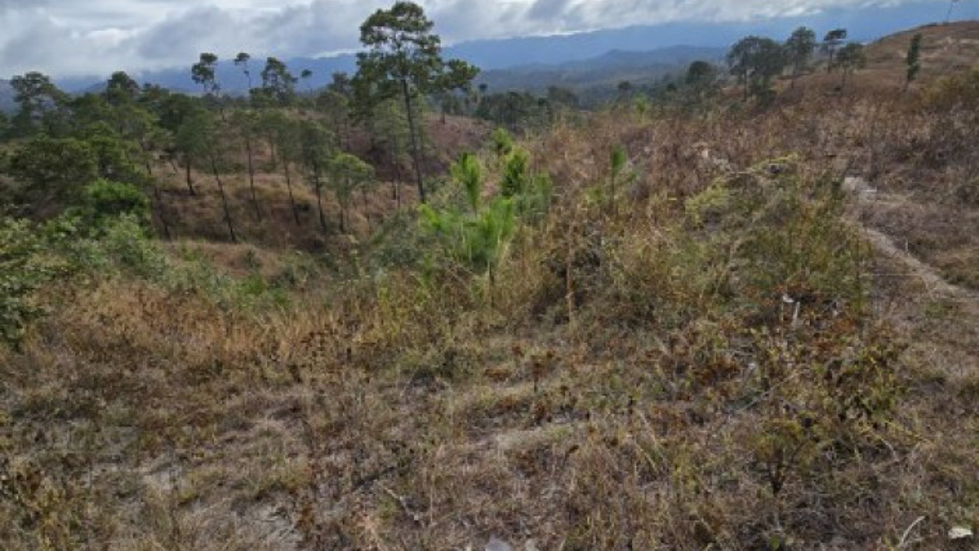 Terreno en Venta San Pedro Sacatepéquez, Guatemala - Miniatura 6