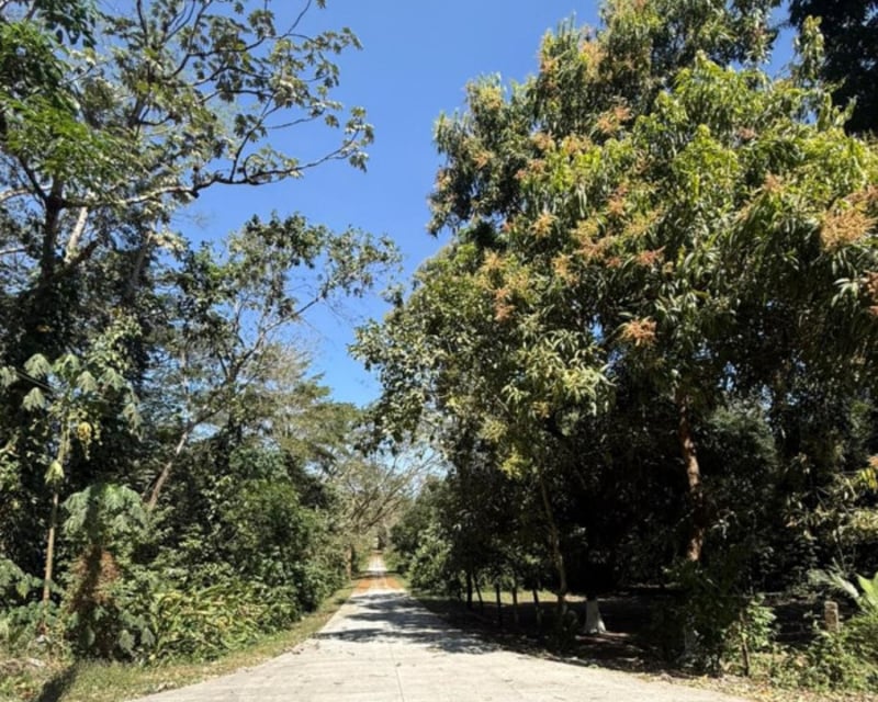 Lote en Venta RioSul, Escuintla, Guatemala