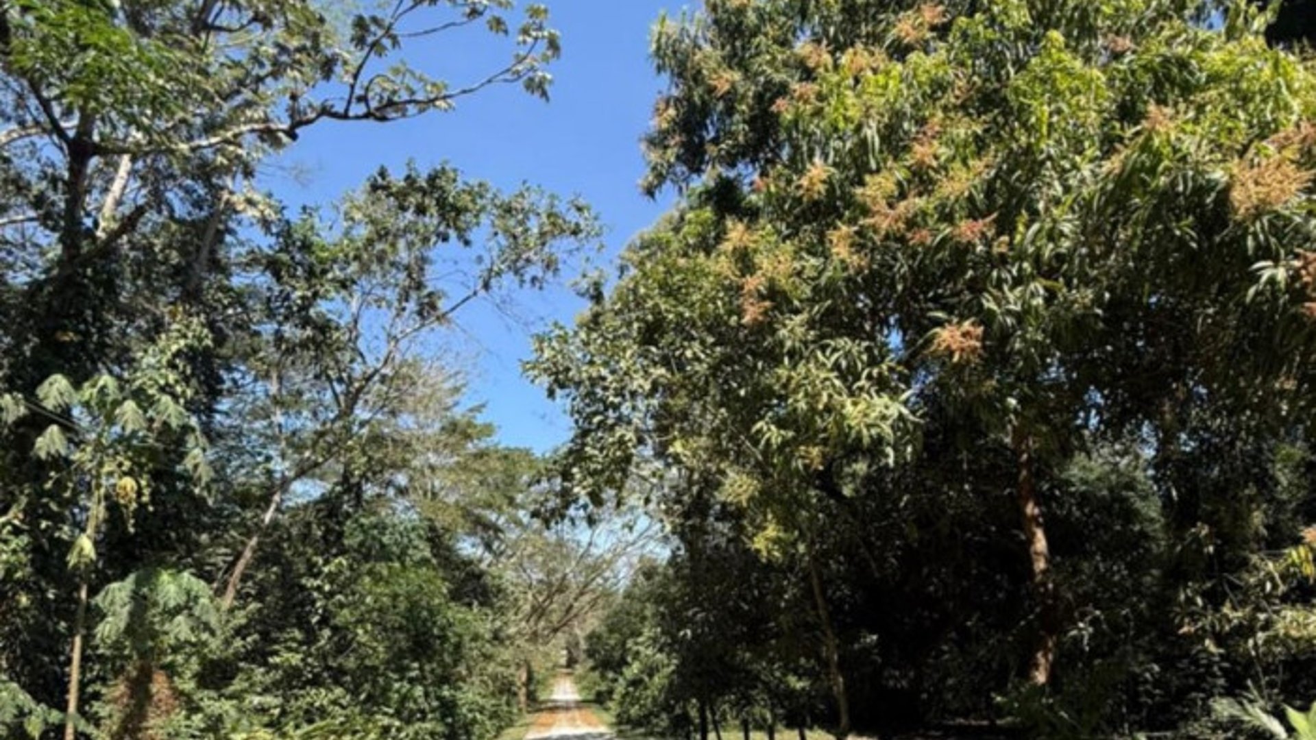 Lote en Venta RioSul, Escuintla, Guatemala