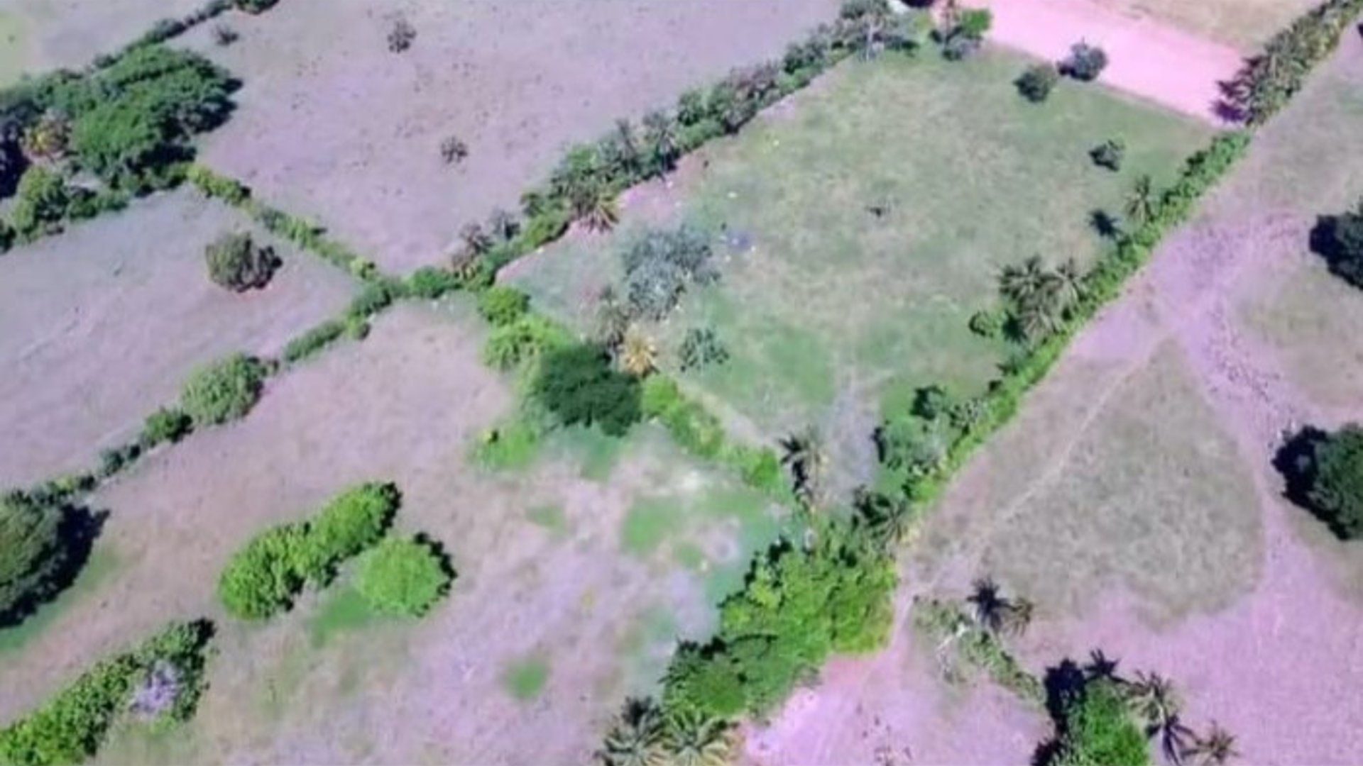 Finca en Venta en Tiquisate Escuintla - Miniatura 3