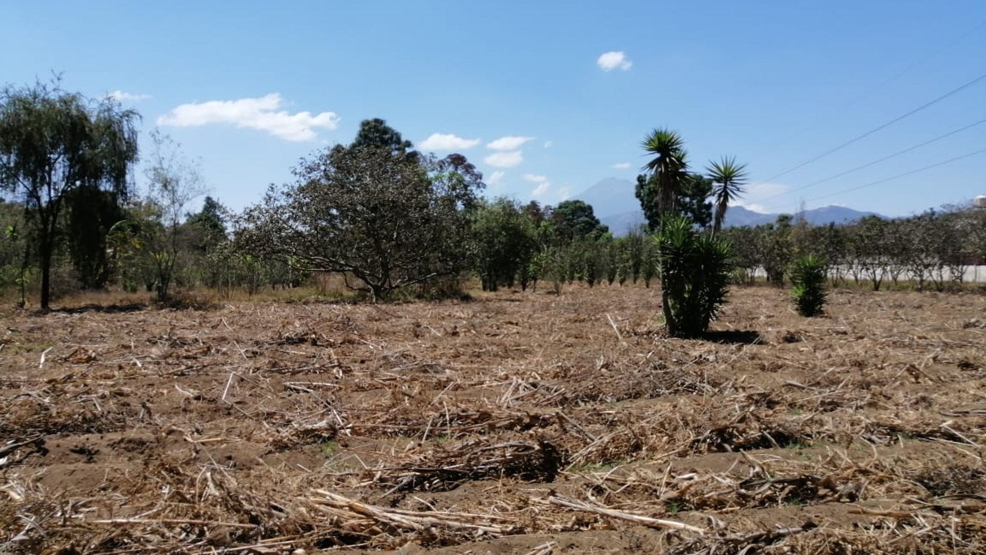 Terreno en Venta en Colonia Santa Ana Chimaltenango - Miniatura 3