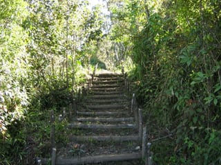 En Venta Finca San Juan Chamelco, Coban - 3