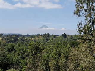 Terreno en Venta en KM 20.5 Aldea a Lo Diéguez, Fraijanes - 3