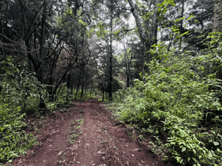 Terreno en Venta en Santa María de Jesús, Sacatepequez - 2
