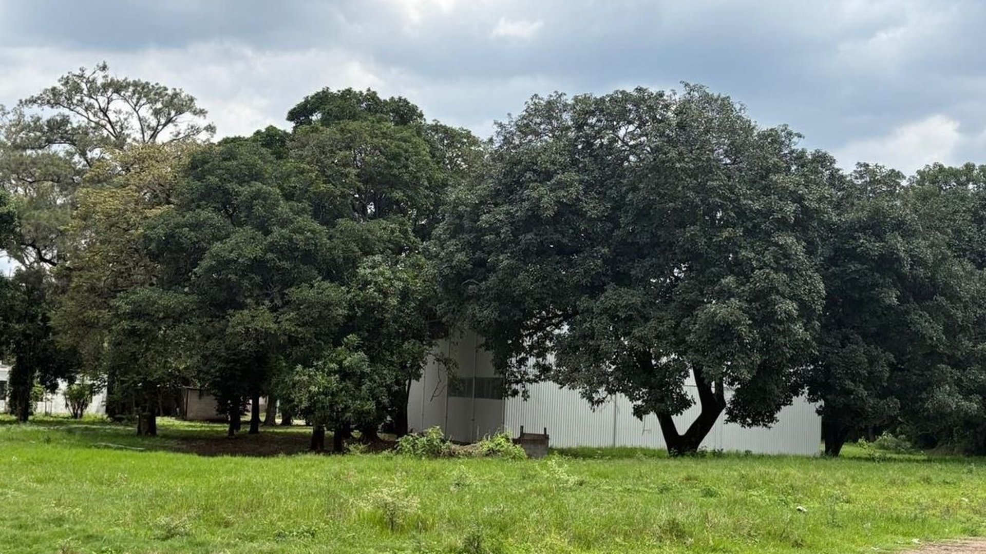 Bodega Industrial en VENTA – Sector VAS / Villa Nueva - Miniatura 22