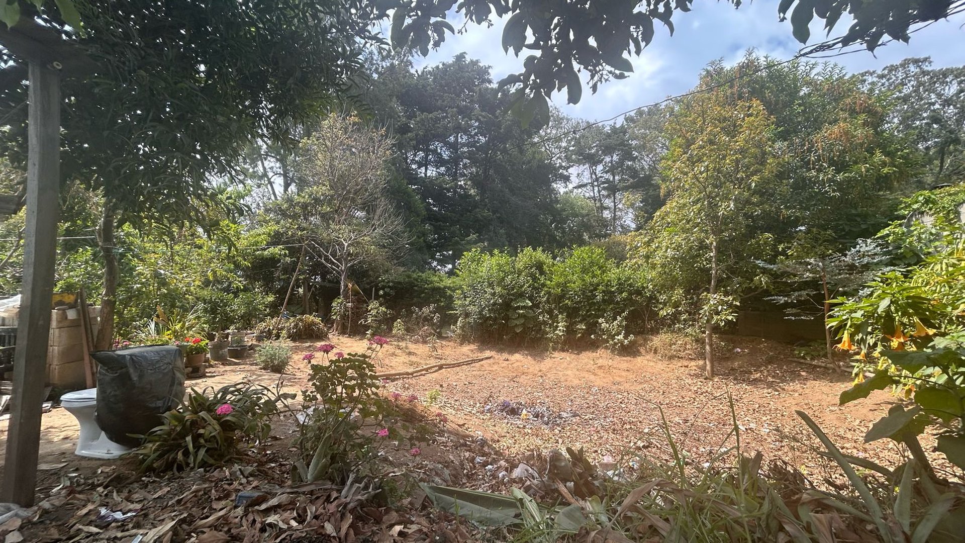Venta de terreno rustico en San Lucas