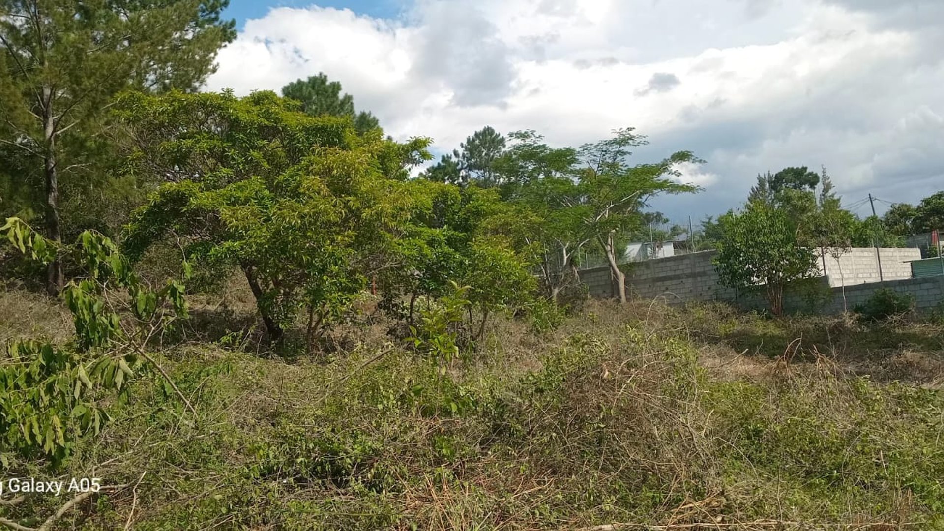Se vende terreno en laguna Potrero Grande, Palencia - Miniatura 2
