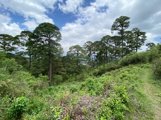 Terreno en Venta en Vista Hermosa IV, zona 16 15,000 v2 - 2