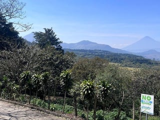 🌿 Terreno en Venta – Lotificación San Gregorio km 25 - 2
