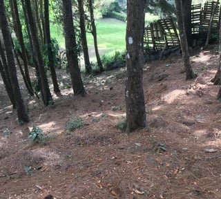 Muxbal/ Terreno en venta, CES