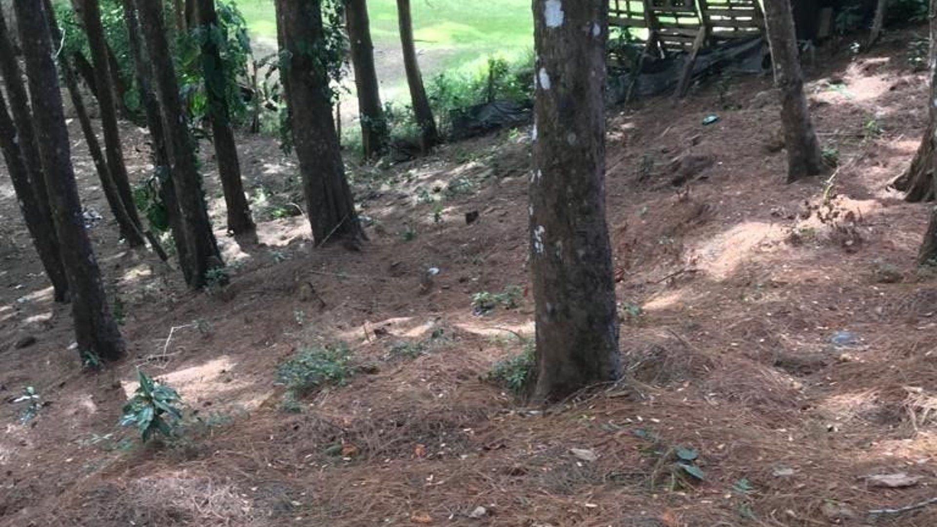Muxbal/ Terreno en venta, CES
